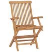 Garden Chairs with Grey Cushions 2 pcs Solid Teak Wood