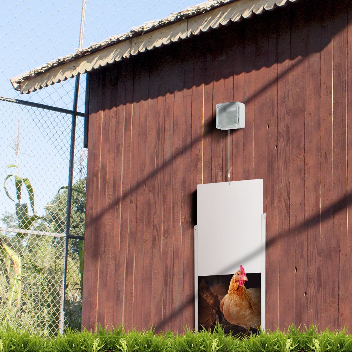 Safe Automatic Chicken Coop Door Opener Closer Working W/ Timer Or Light Sensor Get Rid Of Raccoons