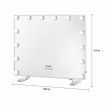 Warm Yellow/Natural/Cool White Light 14 Led Hollywood Makeup Vanity Mirror W/5X Magnify,White Frame