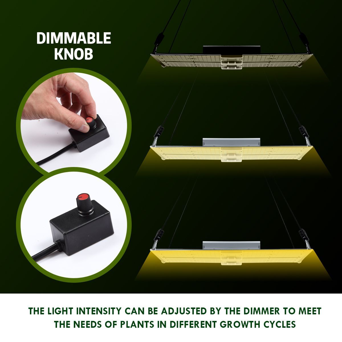 https://img.crazysales.com.au/products_pictures/2530/253099_2059273_F.jpg