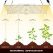4000W Indoor Full Spectrum Dimmer Adjustable Led Plant Grow Light W/Samsung Lm301B For Higher Yield