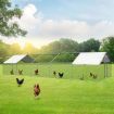 3X10X1.95M Walk In Chicken Coop Cage Dog Enclosure Kennel Pet Run House,Uv Block Roof Security Gate