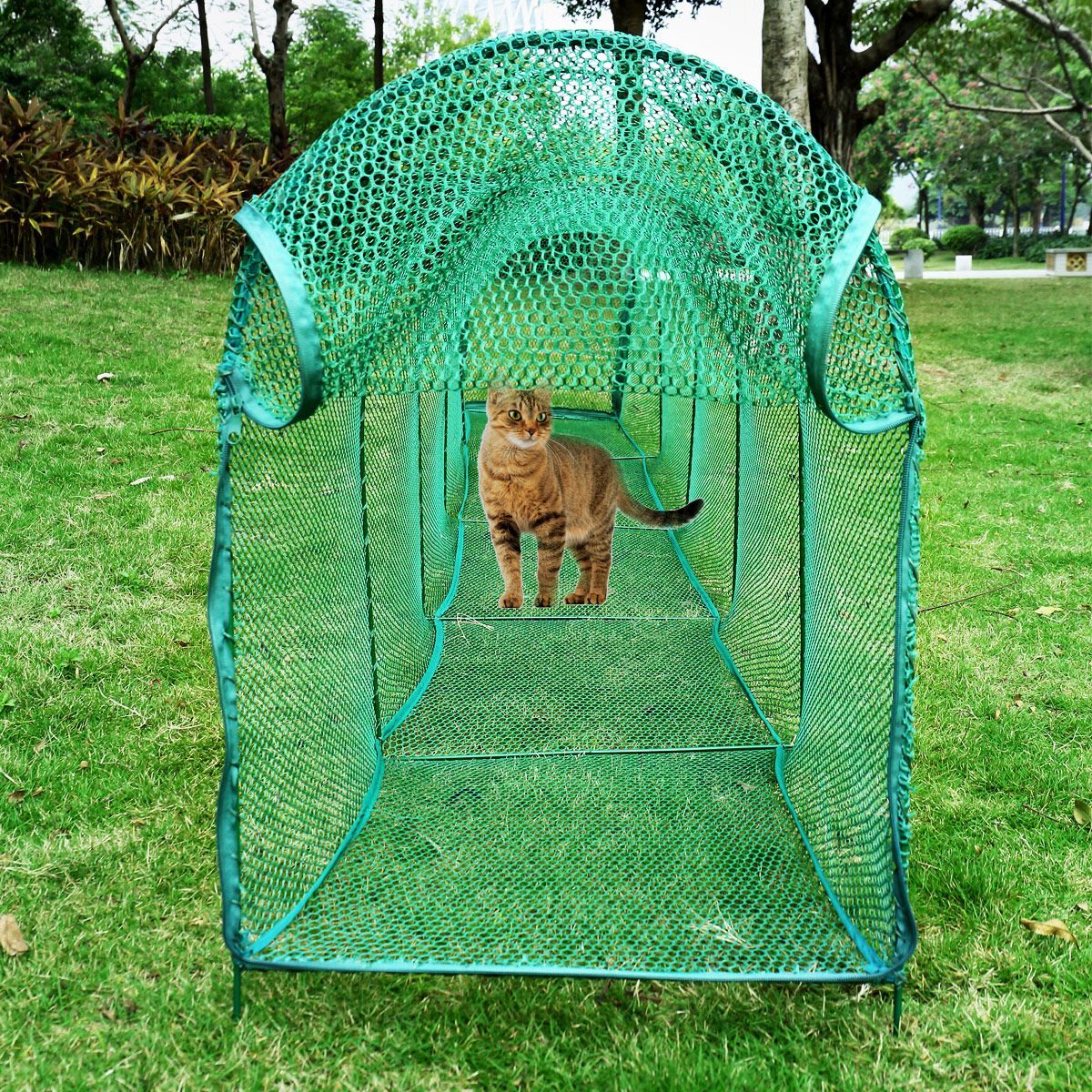 https://img.crazysales.com.au/products_pictures/2531/253157_2059643_F.jpg