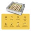 High Sucess Rate 36-120 Eggs Automatic Incubator Digital Hatcher For Duck Goose Pigeon Quail