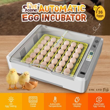High Sucess Rate 36-120 Eggs Automatic Incubator Digital Hatcher For Duck Goose Pigeon Quail