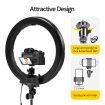 Gorgeous Portrait Lighting 480-Bulb 18?? Pro Led Ring Light For Makeup/Photo/Studio,Tall Adjustable