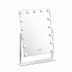 Rotatable Warm Yellow/Cool White/Natural Light Hollywood Makeup Mirror Bright Adjustable-40 X 50Cm