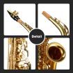 Beginner Saxophone Sax Eb Be Alto E Flat Brass W/Mouthpiece,Clean Brush&Cloth,Pair Of Gloves, Etc