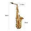 Beginner Saxophone Sax Eb Be Alto E Flat Brass W/Mouthpiece,Clean Brush&Cloth,Pair Of Gloves, Etc