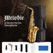 Beginner Saxophone Sax Eb Be Alto E Flat Brass W/Mouthpiece,Clean Brush&Cloth,Pair Of Gloves, Etc