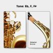 Beginner Saxophone Sax Eb Be Alto E Flat Brass W/Mouthpiece,Clean Brush&Cloth,Pair Of Gloves, Etc