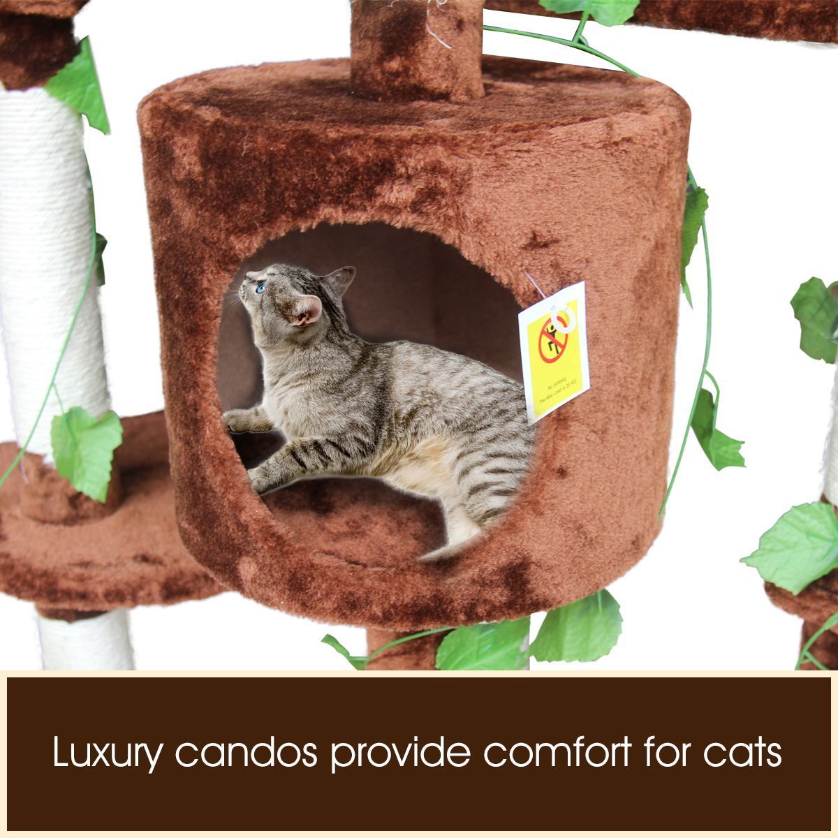 https://img.crazysales.com.au/products_pictures/2534/253437_2064999_F.jpg