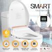 Smart Heated Toilet Seat Bidet W/Adjustable Washing Position Nozzels,Air Dryer,Auto Deodorizer