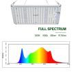 1000W Indoor Full Spectrum 218 Led Plant Grow Light W/Samsung Lm301B Diodes For Higher Yields