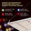 1000W Indoor Full Spectrum 218 Led Plant Grow Light W/Samsung Lm301B Diodes For Higher Yields