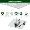 1000W Indoor Full Spectrum 218 Led Plant Grow Light W/Samsung Lm301B Diodes For Higher Yields