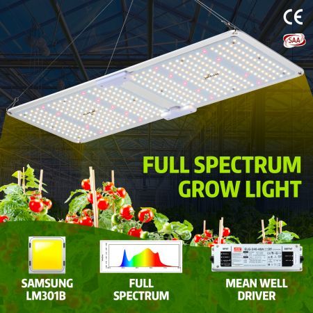 2000W Indoor Full Spectrum 436 Led Plant Grow Light W/Samsung Lm301B Diodes For Higher Yields