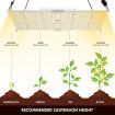 4000W Indoor Full Spectrum 872 Led Plant Grow Light W/Samsung Lm301B Diodes For Higher Yields