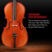 High-Lustre Varnish Full Size 4/4 Cello W/ Carrying Case For Beginners & Student Cellists