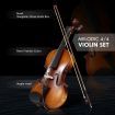 3/4 Size Wood Electric Violin W/Extraordinary Tones Tunes For Beginners & Music Lovers