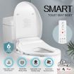 Smart Electric Heated Toilet Seat Bidet W/Front Back Cleaning,Air Dryer,Auto Deodorizer