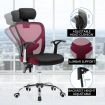 High Back Ergo Mesh Office Executive Chair W/Integrated Lumbar Support - Black/Red