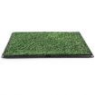 Indoor Easy Cleaning Pet Toilet Training Dog Potty Tray W/2 Grass Mats