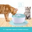 2L Pet Water Foutain Dog Drinking Feeder Multi-Stage Filtration System