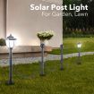 Weather Resistant Solar Powered Garden Lamp Post Light Bright White Color