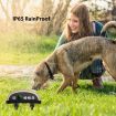 No Harm Vibration Sensor Dog Stop Barking Collar Anti-Bark Training Device