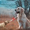 No Harm Vibration Sensor Dog Stop Barking Collar Anti-Bark Training Device