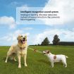 No Harm Vibration Sensor Dog Stop Barking Collar Anti-Bark Training Device