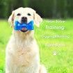 2x Freeze Fetch Food Cooling Pet Dog Puppies Teeth Chew Toy