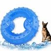 2x Freeze Fetch Food Cooling Pet Dog Puppies Teeth Chew Toy