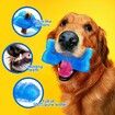 2x Freeze Fetch Food Cooling Pet Dog Puppies Teeth Chew Toy