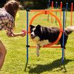 Pet Dog Jump Ring Puppy Agility Hoop Equipment Interactive Toys Exercise Training 