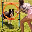 Pet Dog Jump Ring Puppy Agility Hoop Equipment Interactive Toys Exercise Training 