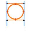 Pet Dog Jump Ring Puppy Agility Hoop Equipment Interactive Toys Exercise Training 