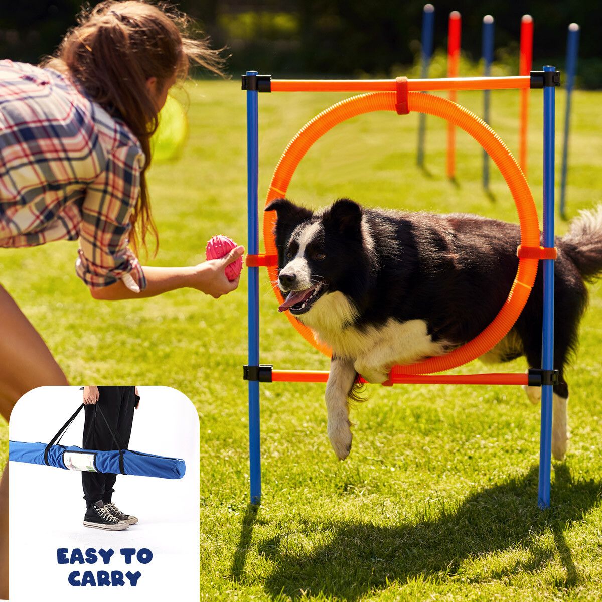 Pet Dog Jump Ring Puppy Agility Hoop Equipment Interactive Toys Exercise Training 