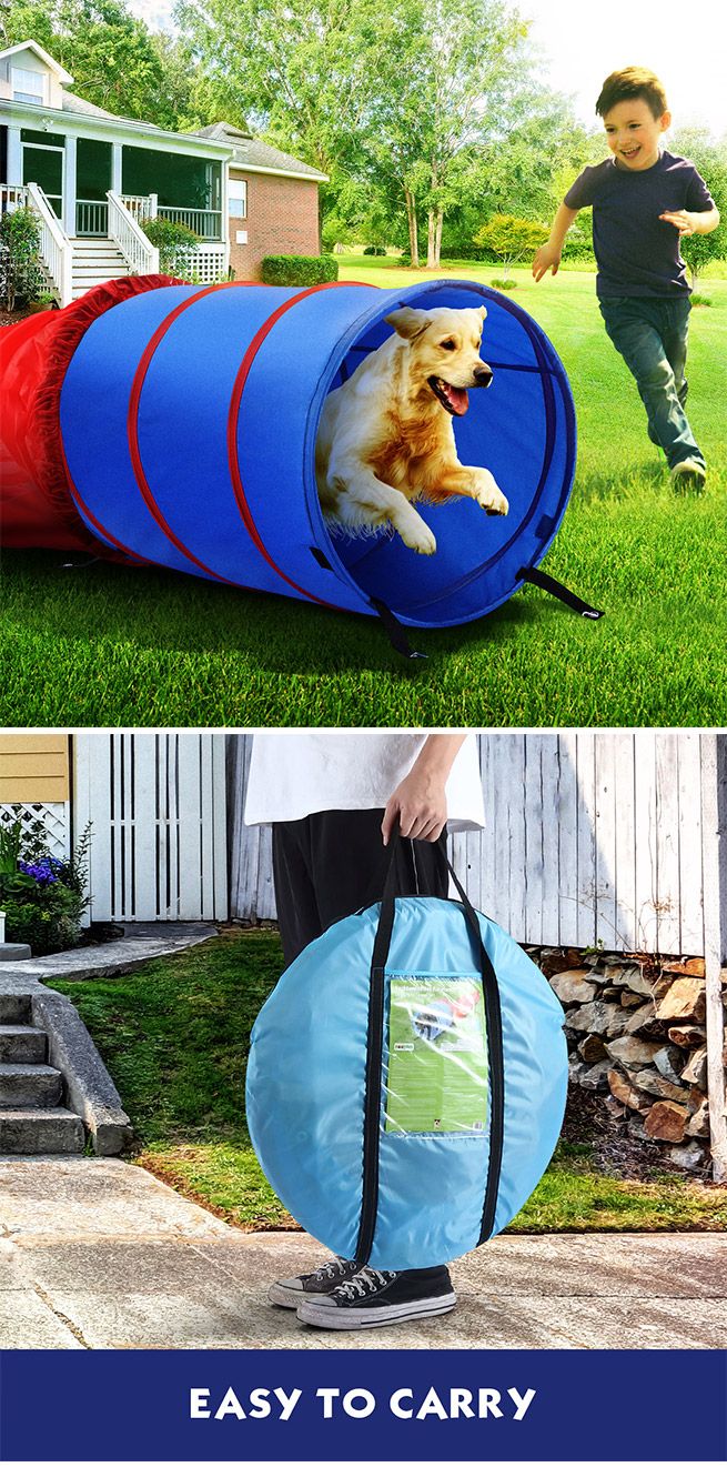 Pet Dog Tunnel Puppy Agility Equipment Interactive Toys Exercise Training with Carrying Case