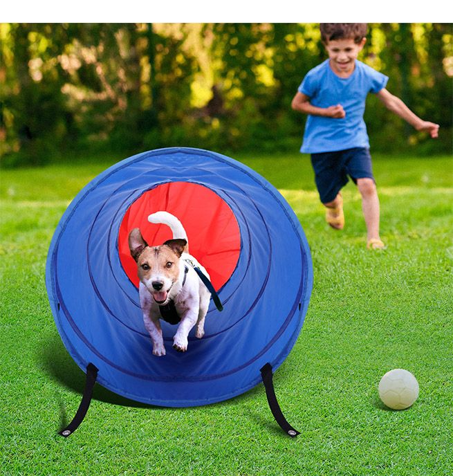 Pet Dog Tunnel Puppy Agility Equipment Interactive Toys Exercise Training with Carrying Case