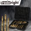 Drill Bits Set HSS Metric 1mm-10mm Titanium Coated Metal Wood Plastic 230PCS