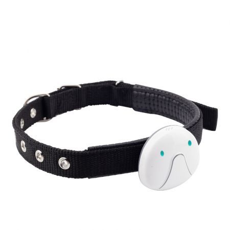 Pet Dog GPS Tracker Collar Smart Pet Tracker Real-Time Tracking Device IP67 Waterproof  - App Control