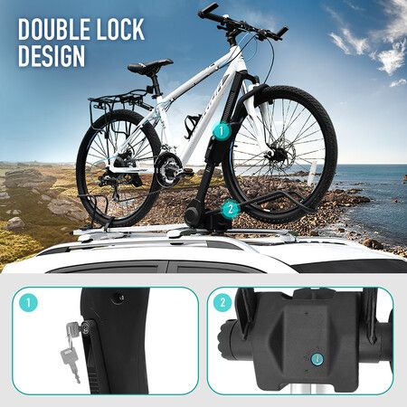 Double bike sales roof rack