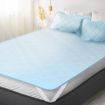 Dreamz Mattress Protector Cool Topper Set  Pillow Case King