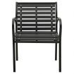 Garden Chairs 2 pcs Steel and WPC Black