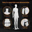 Female Mannequin Full Body Manikin Torso Display Stand Dress Form 175CM Adjustable Detachable White