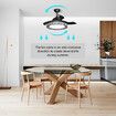 42 Inch Ceiling Modern Fan with LED Lights Remote Control 3 Blades 3 Speed Timer Black