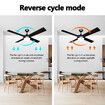 52 Inch Ceiling Cooling Fan with LED Lights and Remote Black 4 Blades 3 Speed Timing