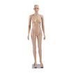 Female Mannequin Full Body Manikin Torso Display Stand Dress Form 175CM Adjustable Detachable Skin Tone